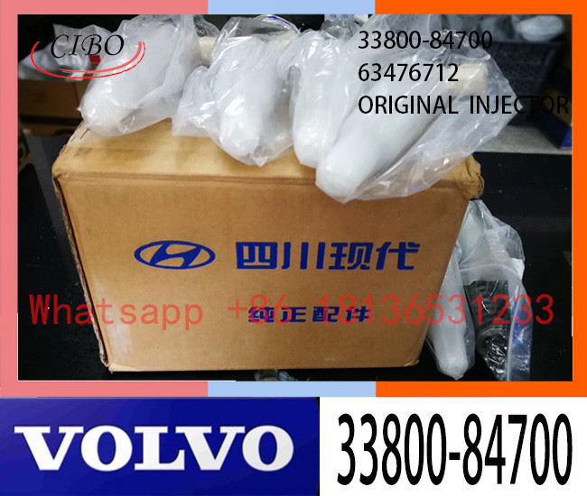Excavator Parts 33800-84700 63476712 VOL Fuel injector