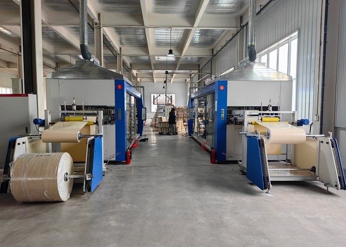 Blister Forming Machine Integrated Cutting Stacking Inline
