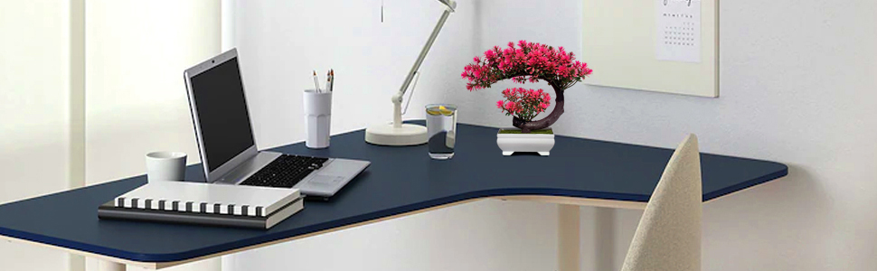 Office desk decor