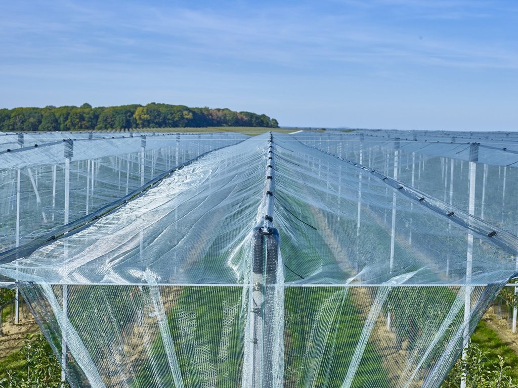 Single Thread Agricultural Insect Netting / Insect Screen Roll UV Stabilized Crop Cover