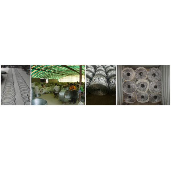 Galvanized Razor Barbed Wire Mesh Fencing