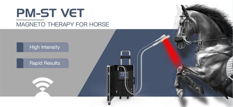 Equine Magneto Therapy EMTT PEMF Physiotherapy Machine For Muscle Swelling And Inflammation