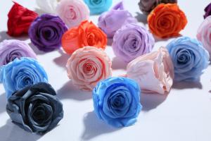 China Factory wholesale real touch high quality multi color natural preserved roses at cheap price Christmas gift wholesale