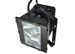 2000w HPS MH / Lamp Replacement Waterproof LED Flood Lights 1000 Watt For