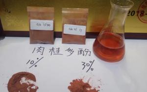 China Highest Content/Cinnamon Bark Extract Polyphenols 20%-30% powder wholesale