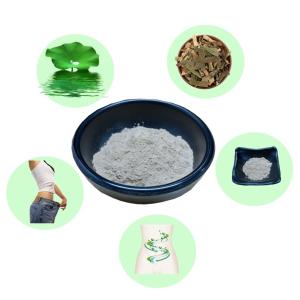 China Natural Lotus Leaf Extract Powder Nuciferine 50% Promote Intestinal Peristalsis wholesale