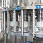Particulates Juice Bottling Machine 3000BPH Bottle Shape Pouch Filling Machine