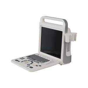 China Portable Laptop Color Doppler Ultrasound Machine TGC Control For Neonates Heart wholesale