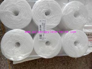China Raw White Polypropylene Twine Packing Rope Lt021 Diameter 1mm - 6mm wholesale