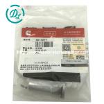 Engine Parts Check Valve 4010077 4009956 3348322 4009957 ISX15 Engine