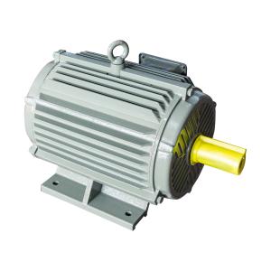 China ODM Small Low Voltage Electric Motors 0.75KW - 355KW AC Motor Water Pump wholesale
