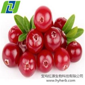 China cranberry extract proanthocyanidins 25%-50% wholesale