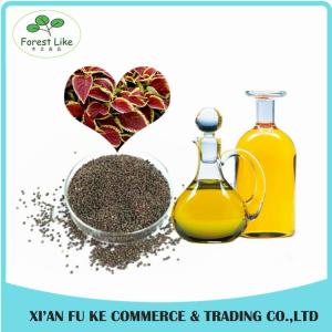 China Wholesale Chinese Traditional Herbal Extract Perilla Fretescens Oil Extraction wholesale