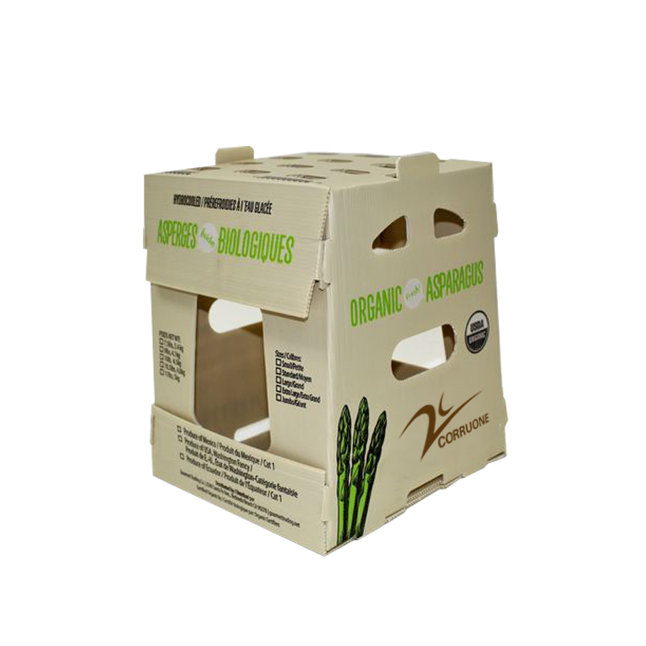 PP Corrugated Plastic Box for Vegetable and Fruit Box Corn broccoli and Agriculture Packing box