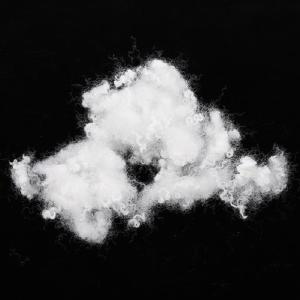 China 64mm Virgin Hollow Conjugate Fiber SVHC Polyester Staple Fiber wholesale