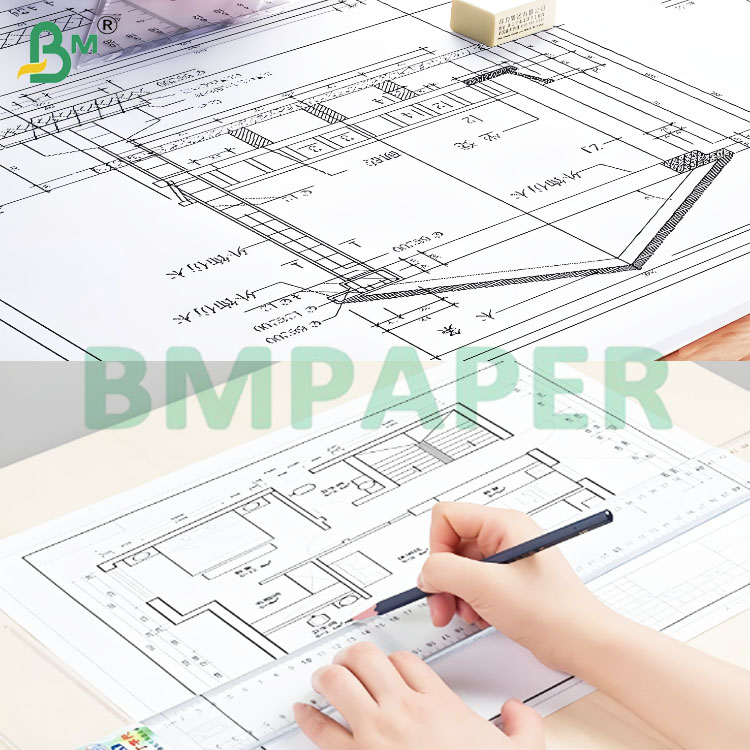 610mm Width White CAD Plotter Paper Rolls with Accurate Printing