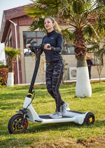 China H1340mm 250W Loop Balance Electric Kick Scooter wholesale