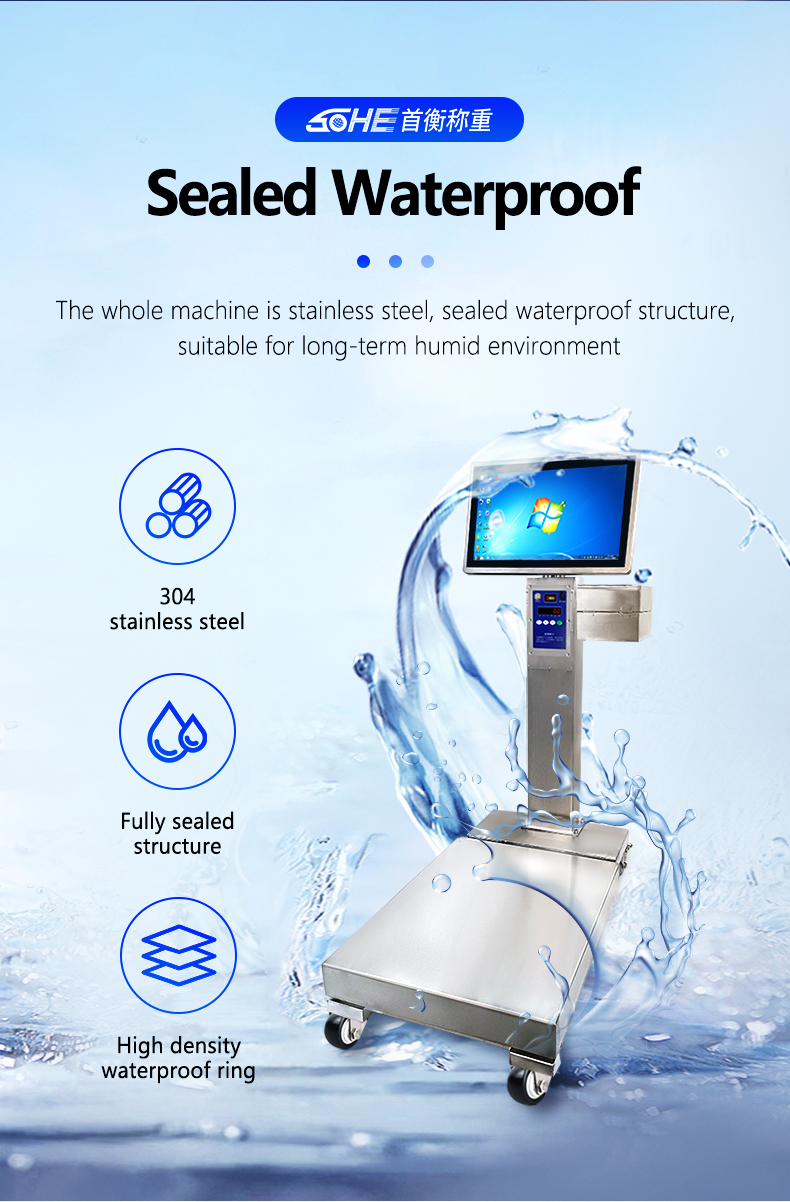 Intelligent Scale Mobile Battery with Full Waterproof Design and 50cm * 60cm Platform