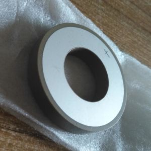 China Simple Lightweight Piezo Ceramic Plate Customized Size Piezo Ceramic Ring wholesale