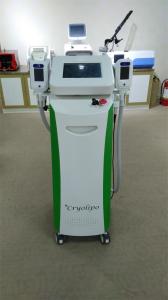 China Cryolipolysis Cellulite Machine For Beauty Clinic &amp; Spa wholesale