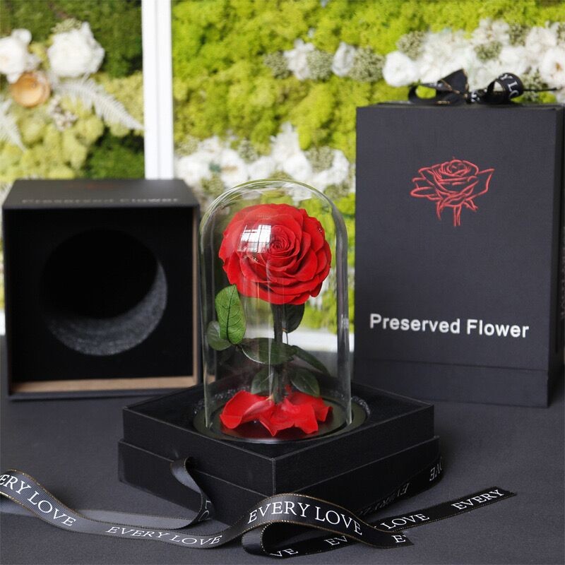 rose gift Factory Wholesale Eternal Beautiful Forever Little Prince Roses preserved rose in glass