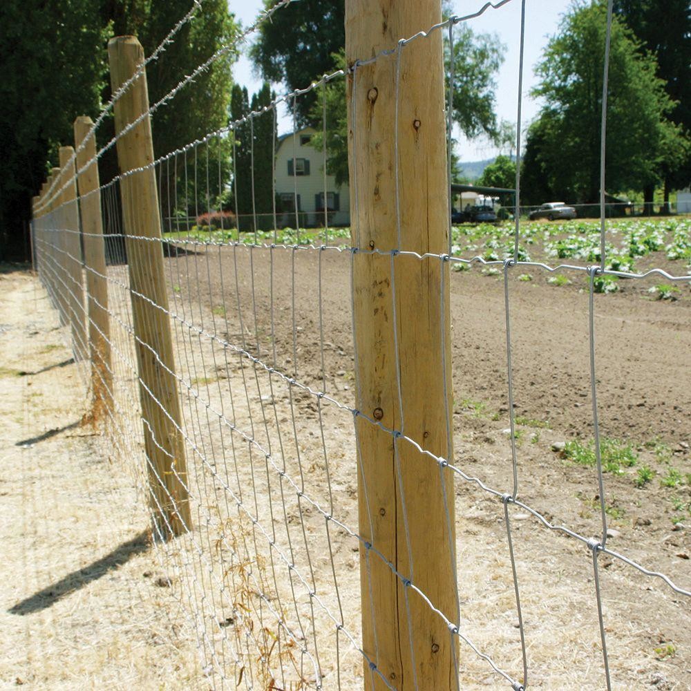 Metal Iron High Tensile Fixed Knot Wire Fencing 50ft For Horse Farm