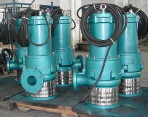 China Hydromatic Submersible Waste Pump Water 50mm 550QW4000-30-450 wholesale