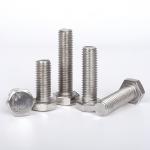 High Strength Stainless Steel 201 Hexagonal Screws Polished Plain Black Oxide