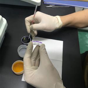 China CE Approved 26 Colors 1M1 1M2 YUCERA Dental Coloring Liquid wholesale