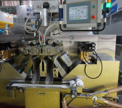 Fish Oil Soft Gelatin Capsule Manufacturing Machine SS304 SS316L