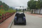Classis CE Approved 2 Passenger Golf Cart / Electric Golf Club Cart
