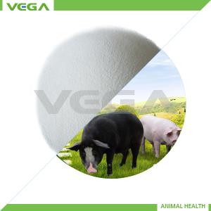 China Water Soluble Florfenicol Powder 20% wholesale