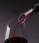 Silicone Reusable Plastic Wine Pourer Eco Friendly Food Grade