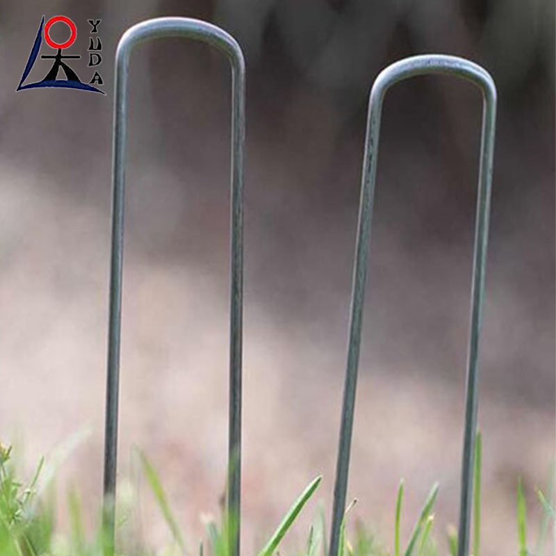 Free Sample Galvanized Artifical Grass Nails Ground Nails Type Of Soil