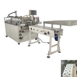 China Conveyor Belt Premade Bag Toilet Paper Packing Machine Multi Rolls Coreless wholesale