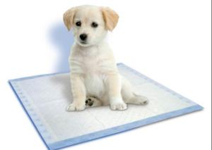 China Hydrophilic ES Nonwoven Fabrics for Disposable Pet Urinal Pads wholesale