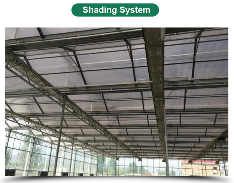 High Yield Hydroponic Greenhouse for Tomatoes Vegetables and Flowers in Any Season