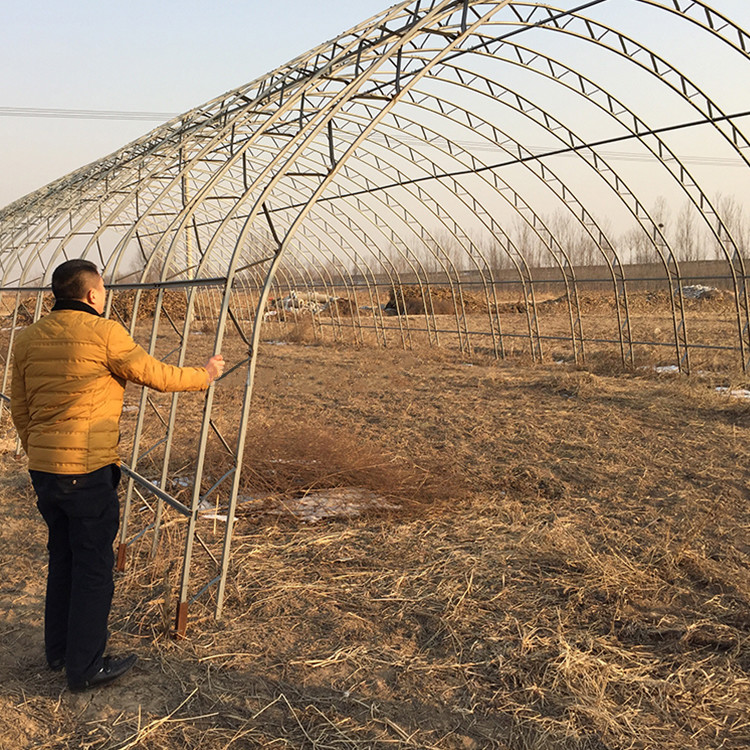High Load Bearing Galvanized Steel Pipe Double Arch Double Film Poly Film Greenhouse