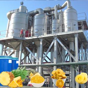 China PLC 20T/H 440V Aseptic Bag Pineapple Processing Line wholesale