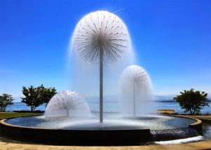China 2M High Brushed Stainless Steel 316L Dandelion Fountain wholesale