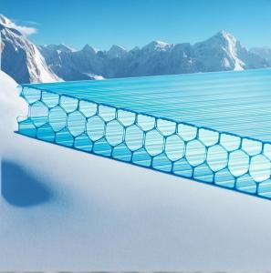 China 10mm Twinwall UV Blocked Greenhouse Transparent Polycarbonate Honeycomb Sheet wholesale