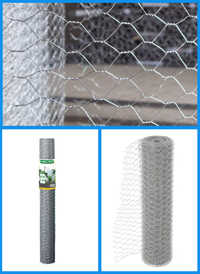 0.7mm 1/2 Inch Hole Hexagonal Chicken Wire Mesh Rolls For Rabbit Cage