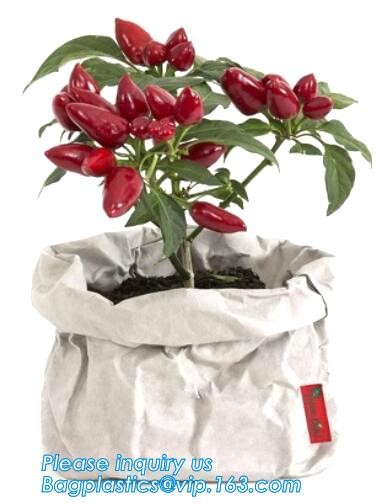 Dupont Tyvek PU coated shopping bag PU coated Tyvek bag PU coated tyvek eco bag,Tote Bag Cotton With Logo Printing Tyvek