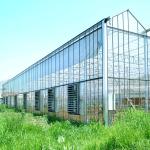Large Prefabricated Outdoor And Indoor Backyard Glass Greenhouse For Flower