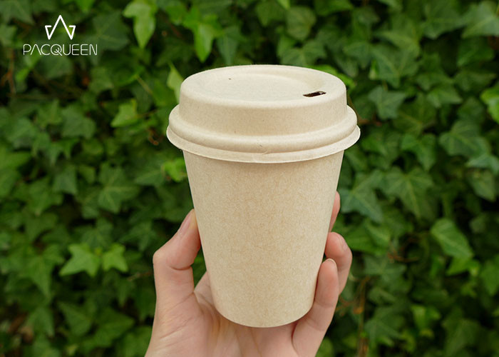 Single Wall / Double Wall Compostable Paper Cups With Cup Sleeves / Cup Lids