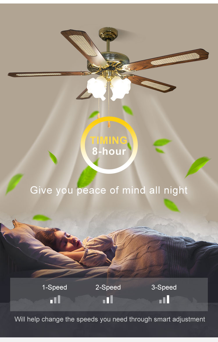 1stshine Ceiling Fan Light for 52 Inch Classics Multi Color and Voltage 220V/50Hz