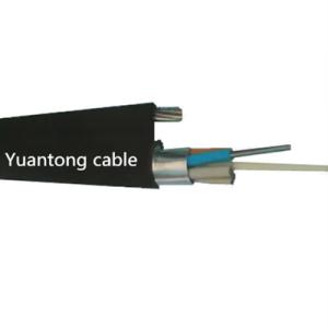 China CSM Aluminium Armored Figure 8 Fiber Optic Cable 48 Core GYFTC8A wholesale
