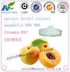 amygdalin extract 5% 50% 80% 98% 99%