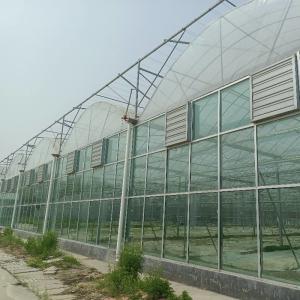 China Modular Agricultural Greenhouse For Sale Dome Roof Cover Film Side Cover Multi Span Cucumber Lettuce Growing wholesale