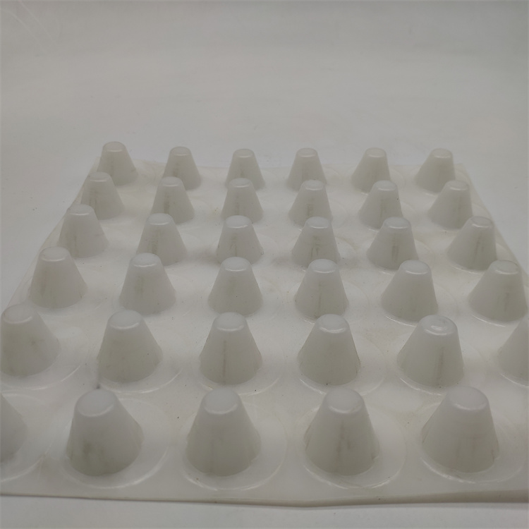 Product Feature Ecofriendly 3D Composite Geonet for Landfill Roadbed Slope Protection